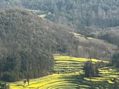 -牛街螺丝田