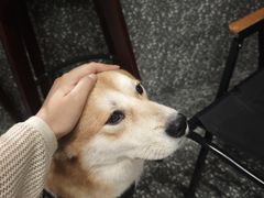 -小辣椒火盆烧烤(温泉南街店)