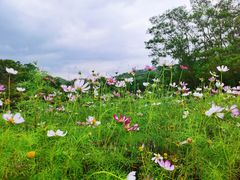 -红花湖景区
