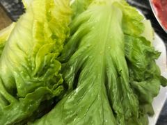 -乳仔牛牦牛汤锅 烤羊排(松潘古城店)