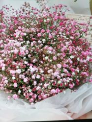 -芳朵美容养生SPA