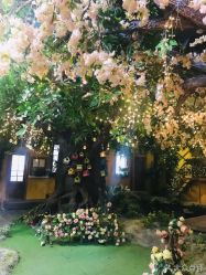 -完美新娘婚纱摄影