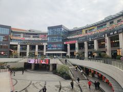 -浦江城市生活广场(江月路店)