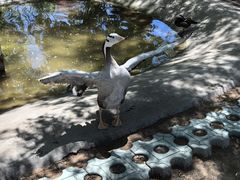 -齐齐哈尔龙沙动植物园
