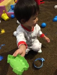 -绿野星空儿童乐园