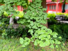 -北京石刻艺术博物馆(五塔寺)