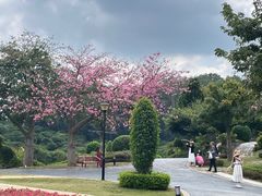-东莞植物园