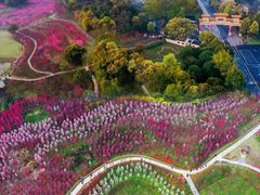 -常德桃花源景区