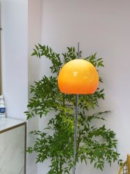 -变美丽半永久纹眉连锁·机器野生眉·洗眉