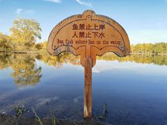 -金塔沙漠胡杨林景区