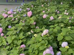 -常州古运河南大街文化旅游区-人民公园