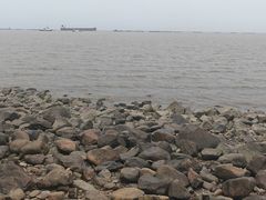 -吴淞炮台湾湿地森林公园烧烤区