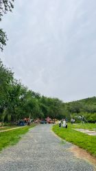 -浅山蜜塘奇妙乐园·亲子营地