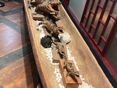 -南京汤山紫清湖生态旅游温泉度假区