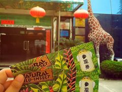 -上海大自然野生昆虫馆