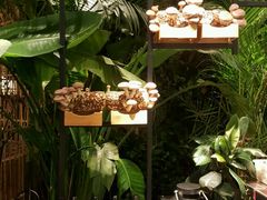 -大头椰·椰子鸡火锅(南宁万象城店)