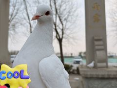 -天津妈祖文化园