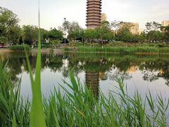 -西海子公园