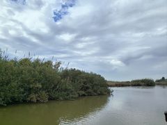 -宁波杭州湾国家湿地公园