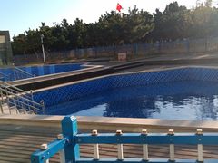 -青岛银沙滩温德姆至尊酒店