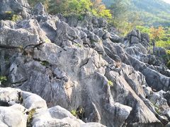-千岛湖石林