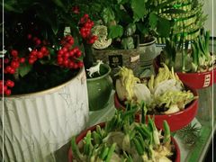 -FEI FEI FLOWER鲜花店·气球派对·宝宝宴布置(虹口德必运动Loft店)