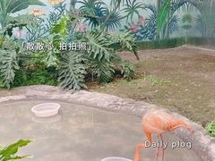 -成都动物园