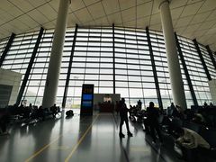 -郑州新郑国际机场-T2航站楼