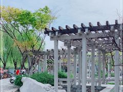 -百花洲