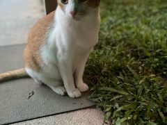 -晓港公园