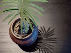 -苏帮袁·竹(北京坊店)