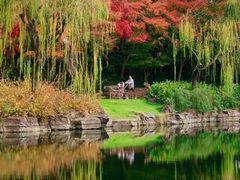 -上海海湾国家森林公园