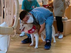 -Husky Go! 哈士奇体验馆·宠物咖啡厅狗咖