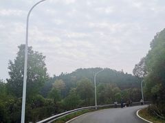-青龙山国家森林公园
