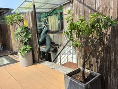 -沏点Trattoria意大利餐厅(新街口店)