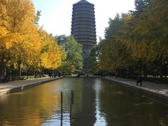 -玲珑塔公园