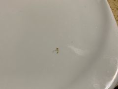 -喜鹊茶点.啫煲(车陂店)