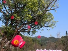 -云溪植物园