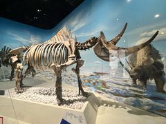 -国家自然博物馆