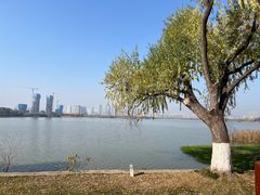 -金银湖国家城市湿地公园