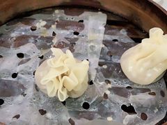 -枫泾丁氏烧卖(枫丽路店)