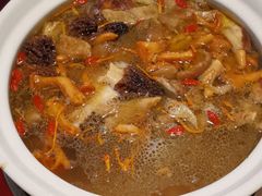 -蘑统田下·野生菌火锅