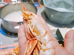 阿根廷红虾-乔哥铭洋海鲜自助(皇城恒隆广场店)