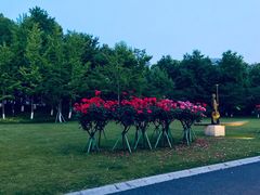 -钱江新城