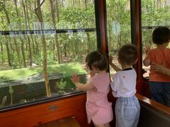 -合肥滨湖国家森林公园