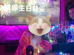 -纯K(打浦桥店)