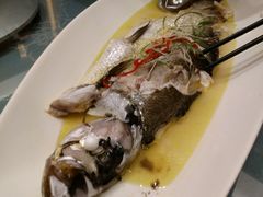 -佳源四季酒店-雅悦自助餐厅(新洲路店)