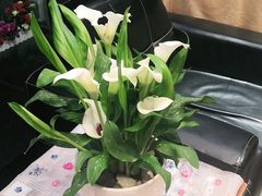 -大鸭梨(天通西苑店)