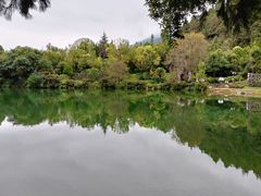 -蝴蝶泉公园