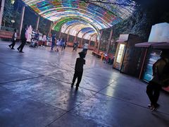 -郑州方特梦幻王国